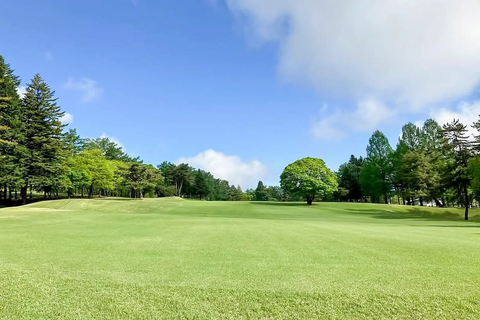 景観ポイント
